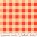 PRE-ORDER Picnic Big, Roses