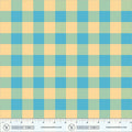 PRE-ORDER Picnic Big, Sky Blue