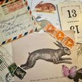 Mystery Ephemera Pack: Down the Rabbit Hole