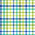 Blue to Green Big Gingham