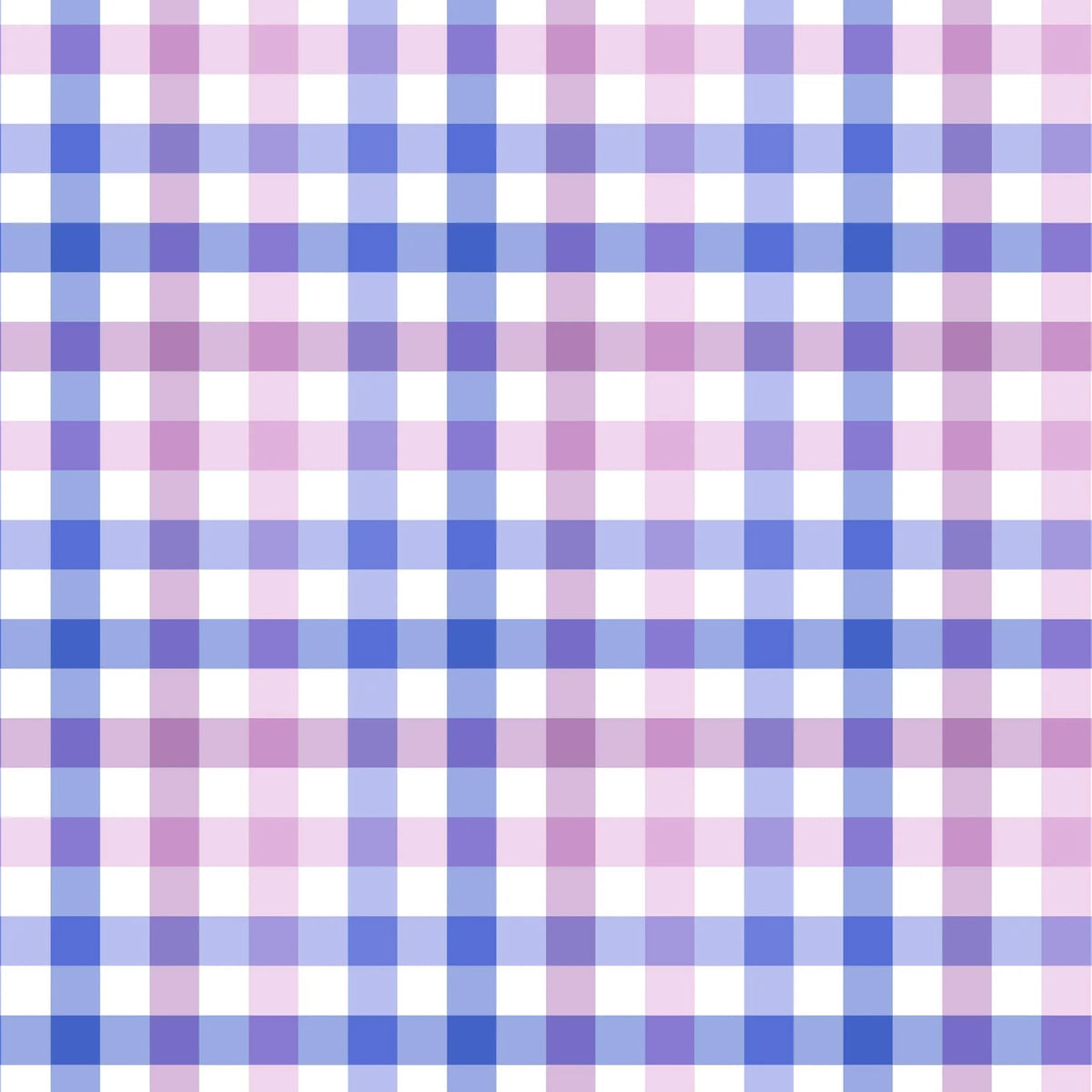 Blue to Lilac Big Gingham