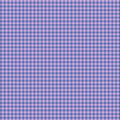 Lavender and Blue Mini Gingham